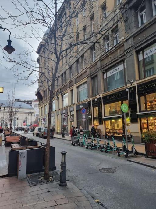 Appartamento Danube Dwelling Asboth 19-1 Budapest Esterno foto